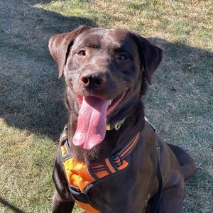 Meet your Posher, Steven